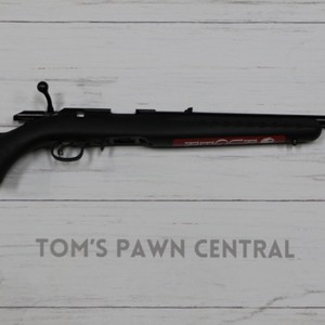 RUGER American