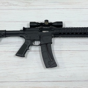 SMITH & WESSON M&P15-22 LR
