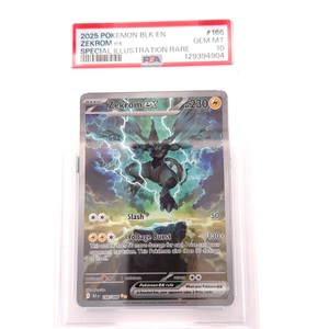 pokemon zekrom